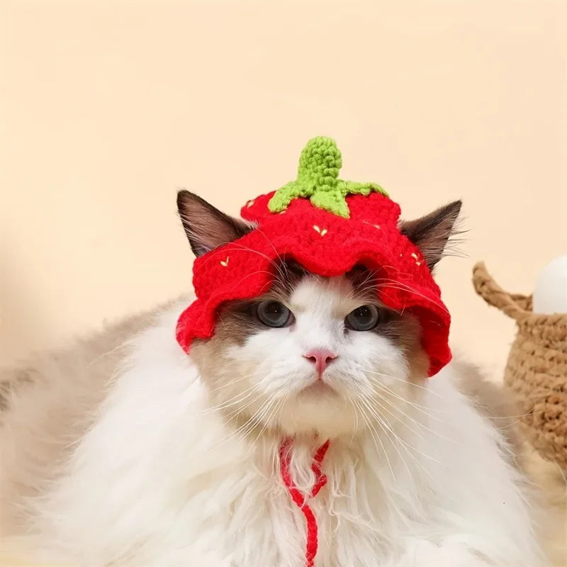 Le Petit de Paris™ – Chapeau adorable pour chats et petits chiens
