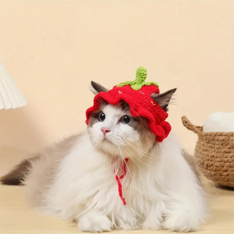 Le Petit de Paris™ – Chapeau adorable pour chats et petits chiens